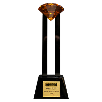 Trophy Icon 3